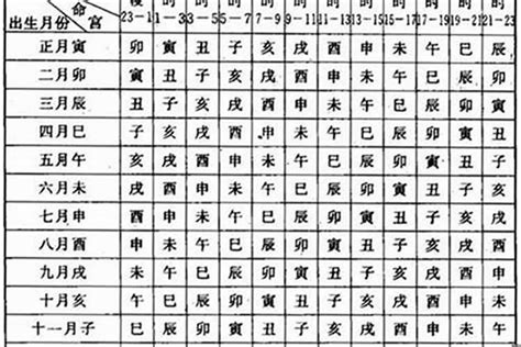 1996年1月生肖